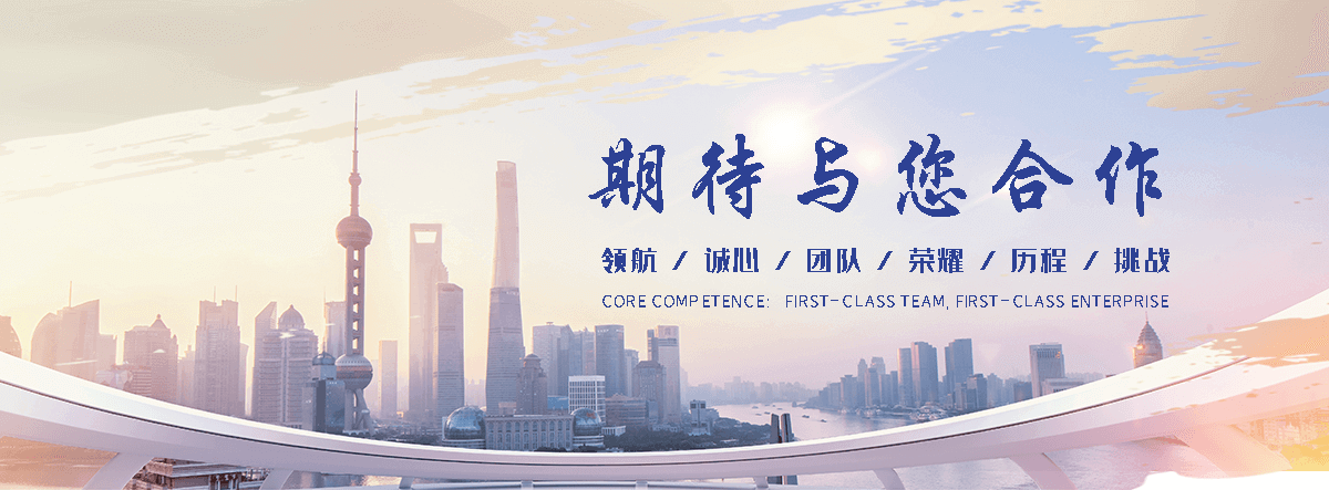 丰都海狮租赁公司
